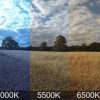 FocusMindX Pro