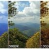FocusMindX Pro - Image 3